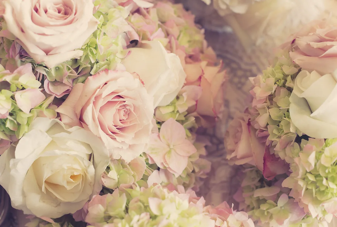 Pale garden roses gathered for a wedding order